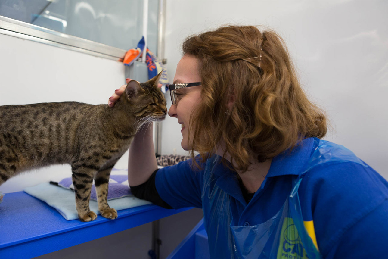 Paula Middleton of Cats Protection UK spending some face time with a cat in their care. She works with a local veterinarian to arrange regular check-ups for their animals.