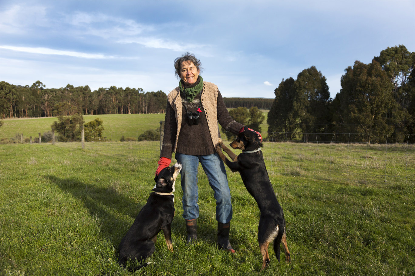 Farmer Jill Stewart in Deans Marsh, Australia relies on her dogs to help herd sheep. Her farm depends on her dogs being healthy and active.