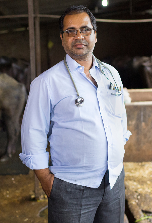 Dr Shrawan Singh works closely with his buffalo dairy farm clients to monitor the health of their animals and ensure medicines are used responsibly.