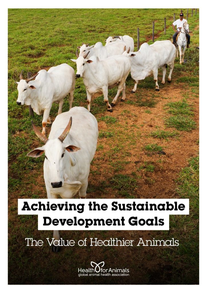 Achieving The Sustainable Development Goals Healthforanimals