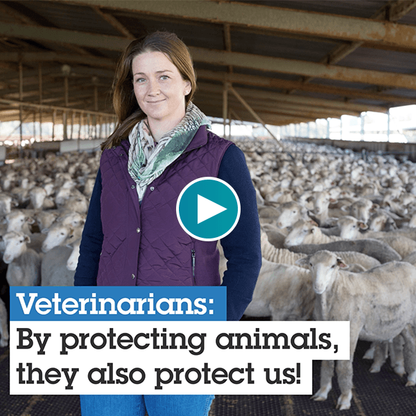 Protecting Animals, Protects People - HealthforAnimals