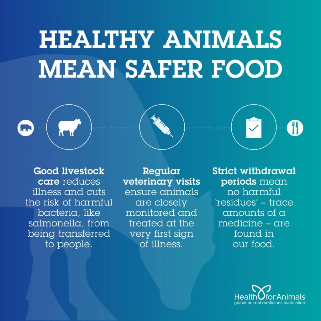 Healthy Animals Mean Safer Food - HealthforAnimals