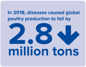 In 2018, diseases caused global poultry production to fall by 2.8 million tons