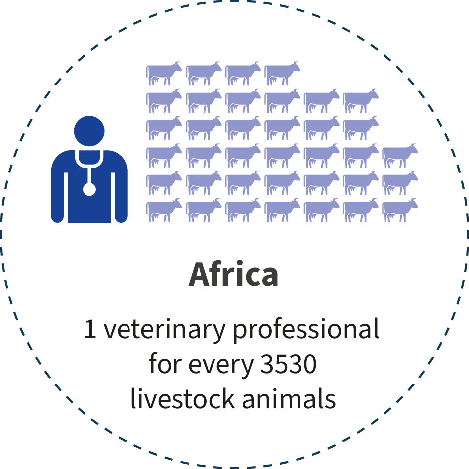 Africa has 1 veterinary professional for every 3530 livestock animals